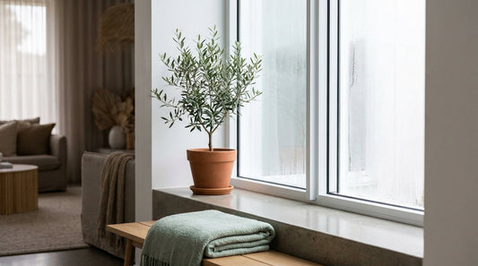 A contemporary window with a light film of condensation on the glass in cool morning light, a healthy plant on the sill,