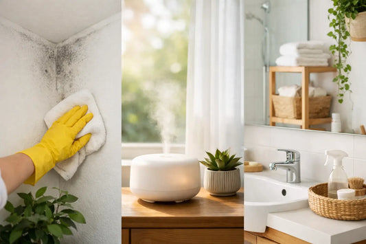 How to prevent mould without bleach