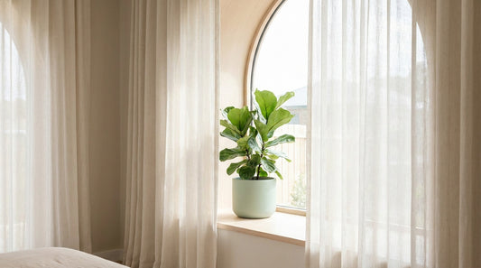 Mould on curtains and blinds