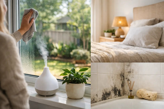 How to Reduce Condensation Indoors