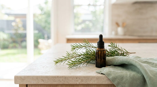 Tea tree foliage and a small amber dropper bottle on a pale stone surface, soft natural light, sage-mint accent.