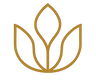 Aurala Naturals
