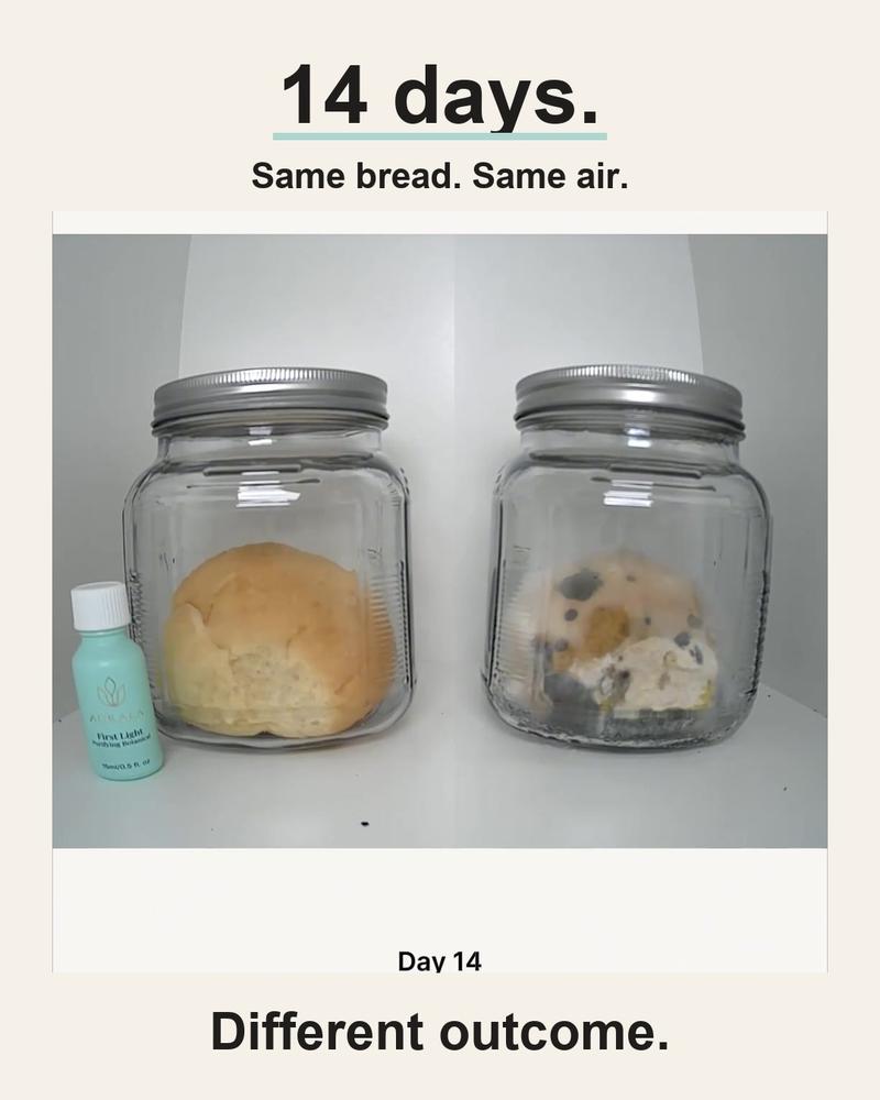 14-day bread jar test: untreated jar grows mould (left), First Light treated jar stays clean (right)