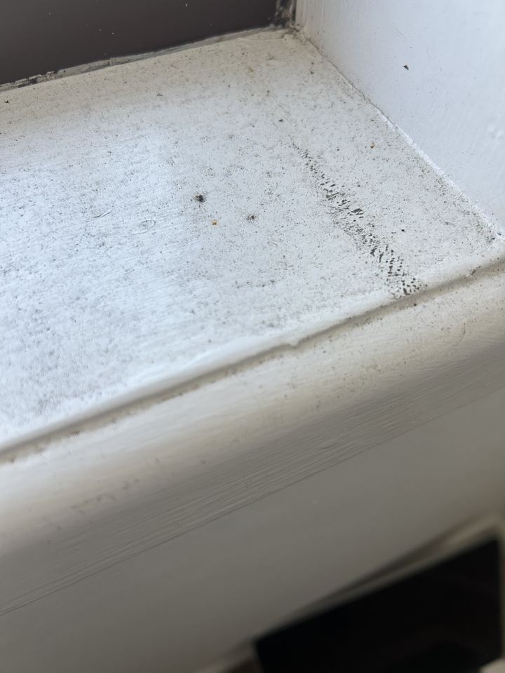 Mould speckling in the corner of a window architrave